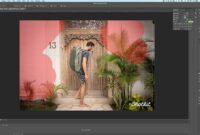 Photoshop vs. Lightroom Which One Should You Use? A Guide