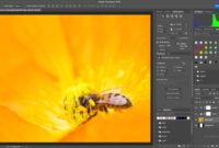 Photoshop 2025 New Features and What You Need to Know
