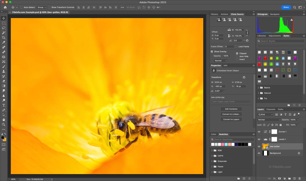 Photoshop 2025 New Features and What You Need to Know