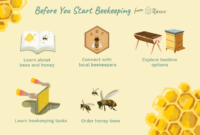 Beginners Guide to Photoshop Getting Started with the Basics