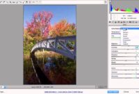 Editing RAW Photos in Photoshop Step-by-Step Tutorial