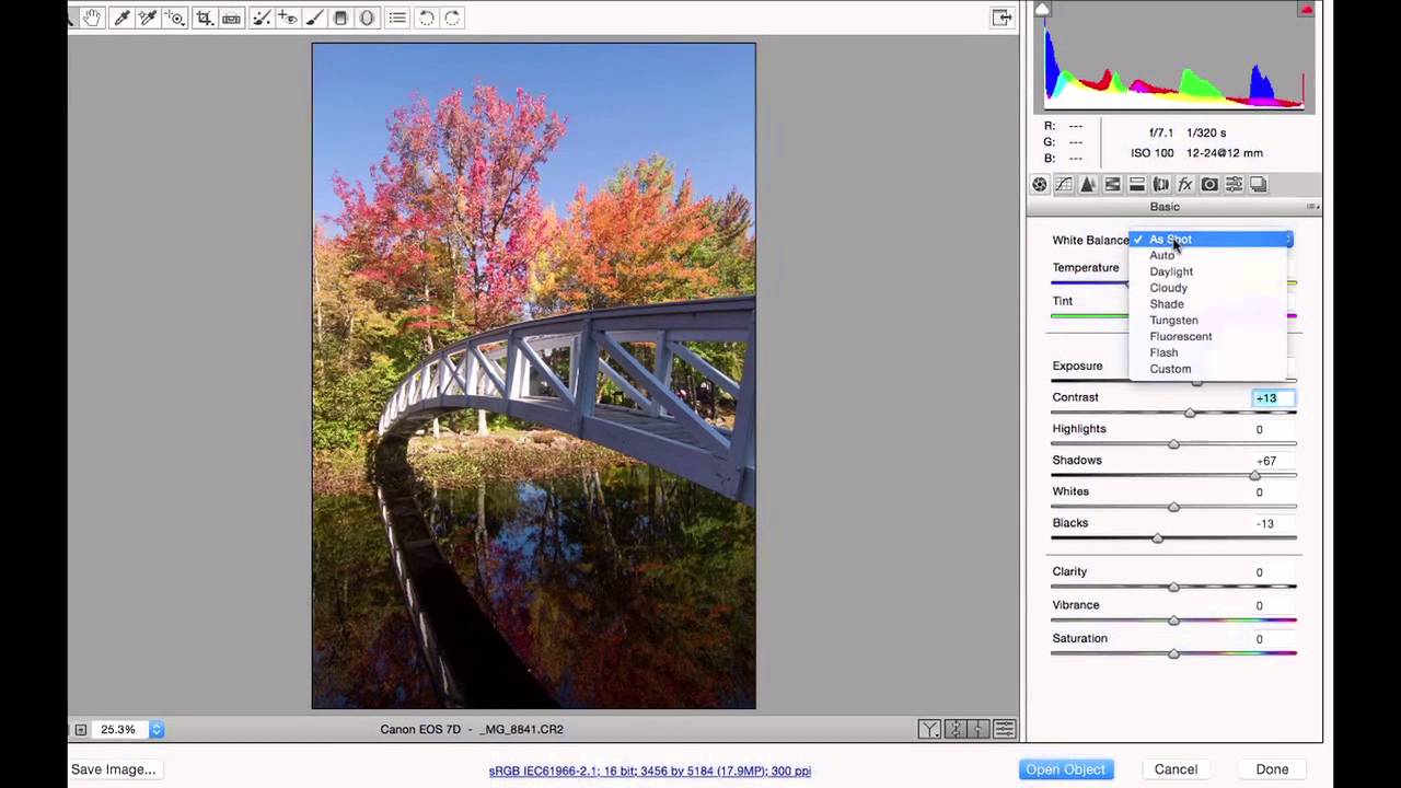 Editing RAW Photos in Photoshop Step-by-Step Tutorial