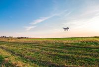 How Technology is Improving Sustainability in Agriculture