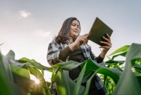 Exploring Business Opportunities in the Food Industry