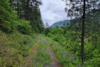 What to Know About Buying Land Essential Insights