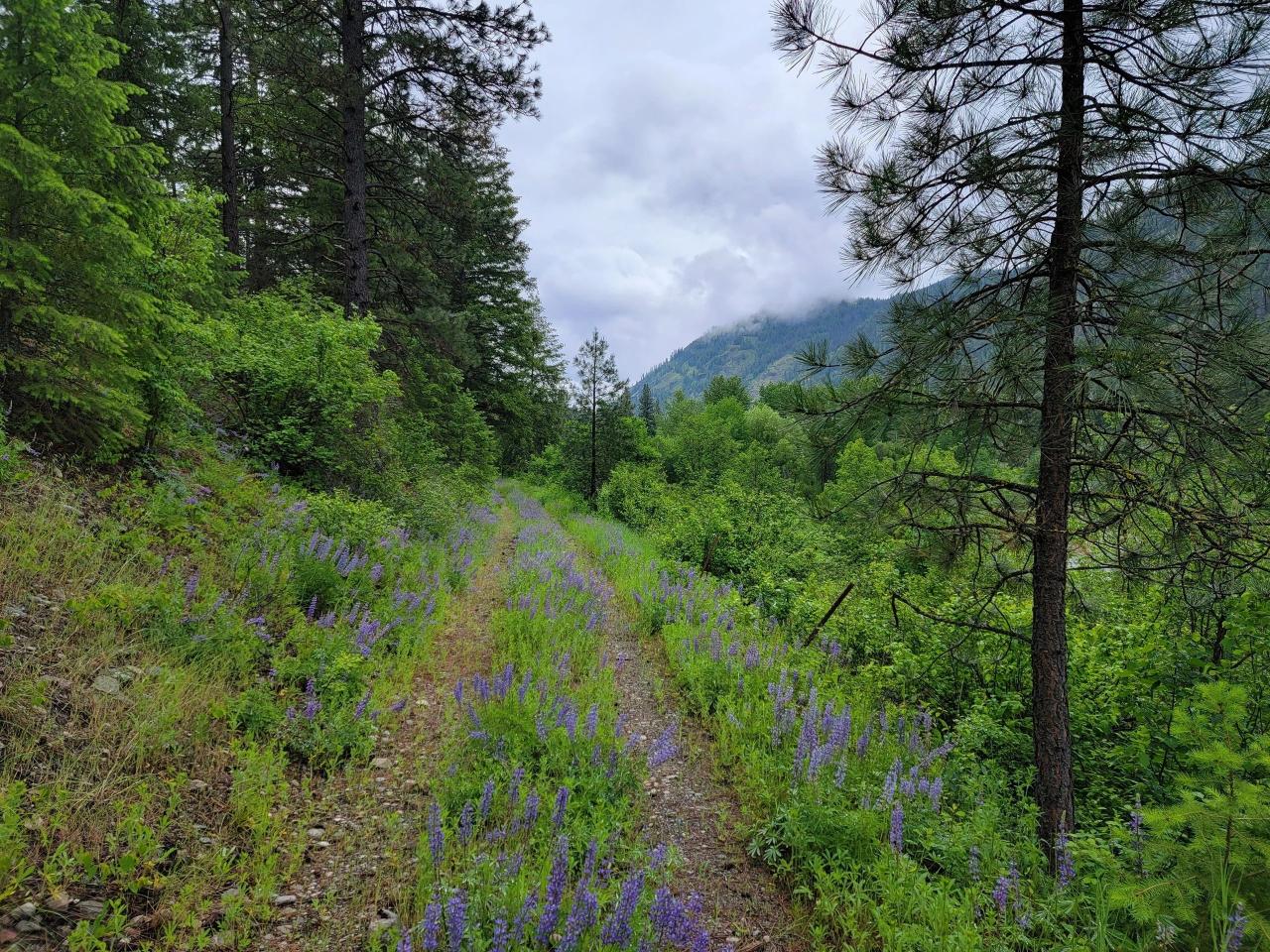 What to Know About Buying Land