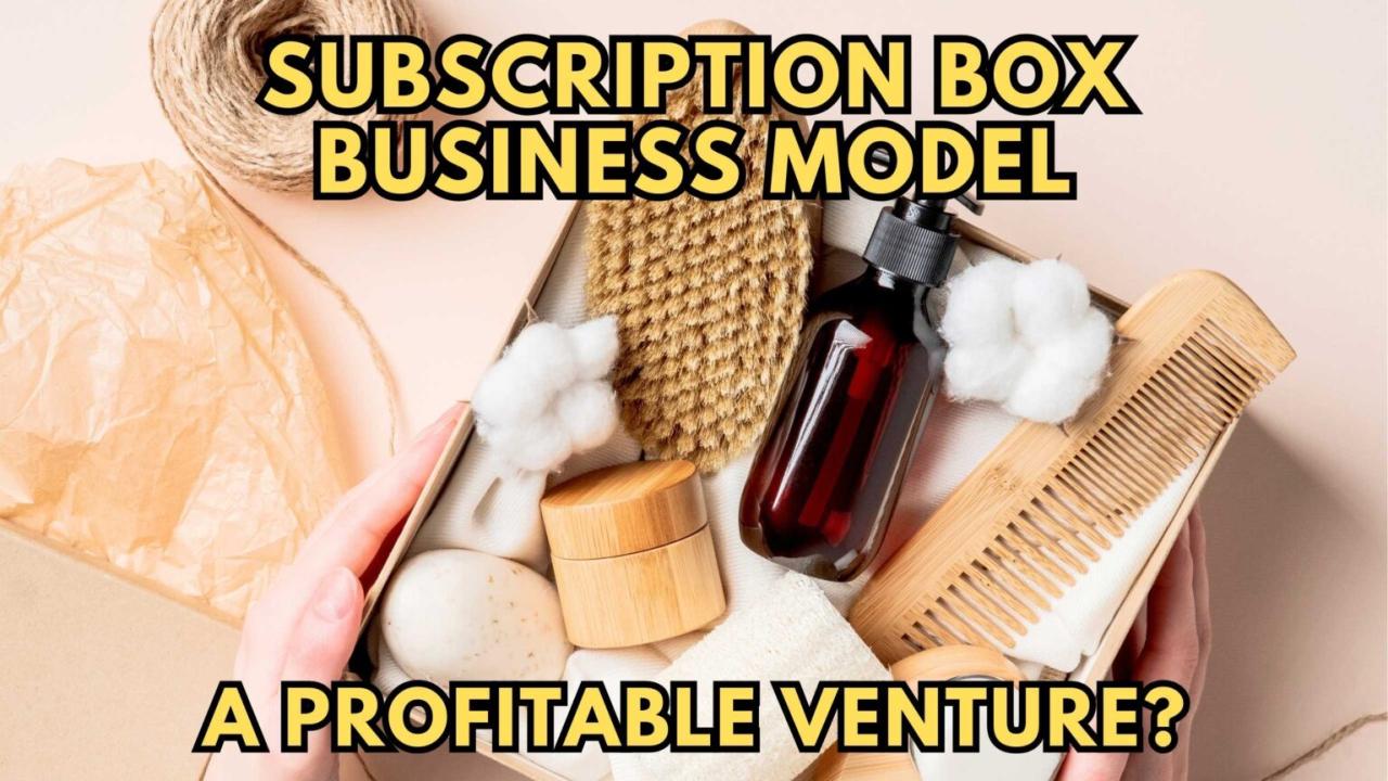 Business Opportunities in the Subscription Box Market