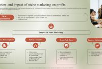 Targeting Niche Markets in Online Health Shopping